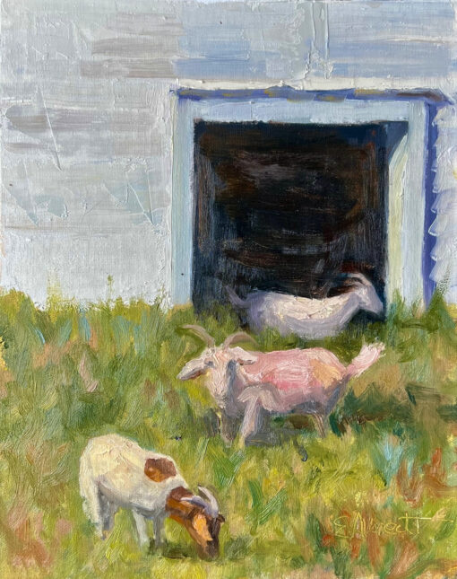 Three Goat Farm by Eve Albrecht