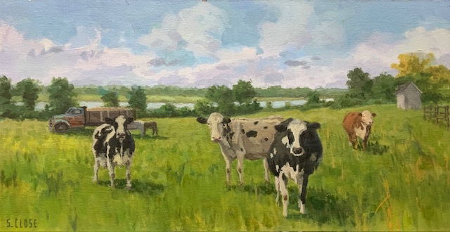 Cows Grazing by Steve Close
