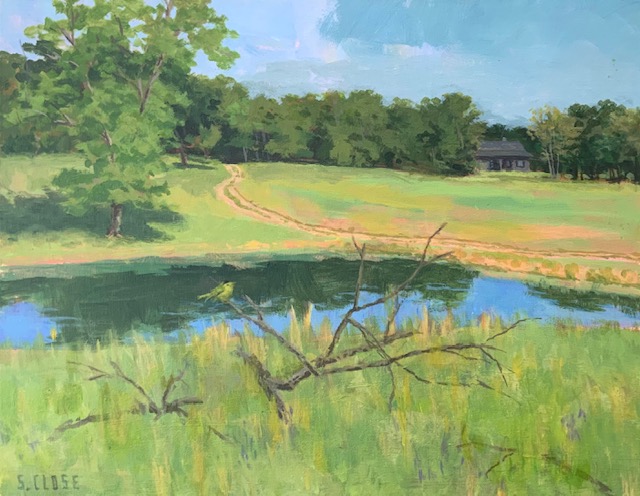 Enjoying the View by Steve Close