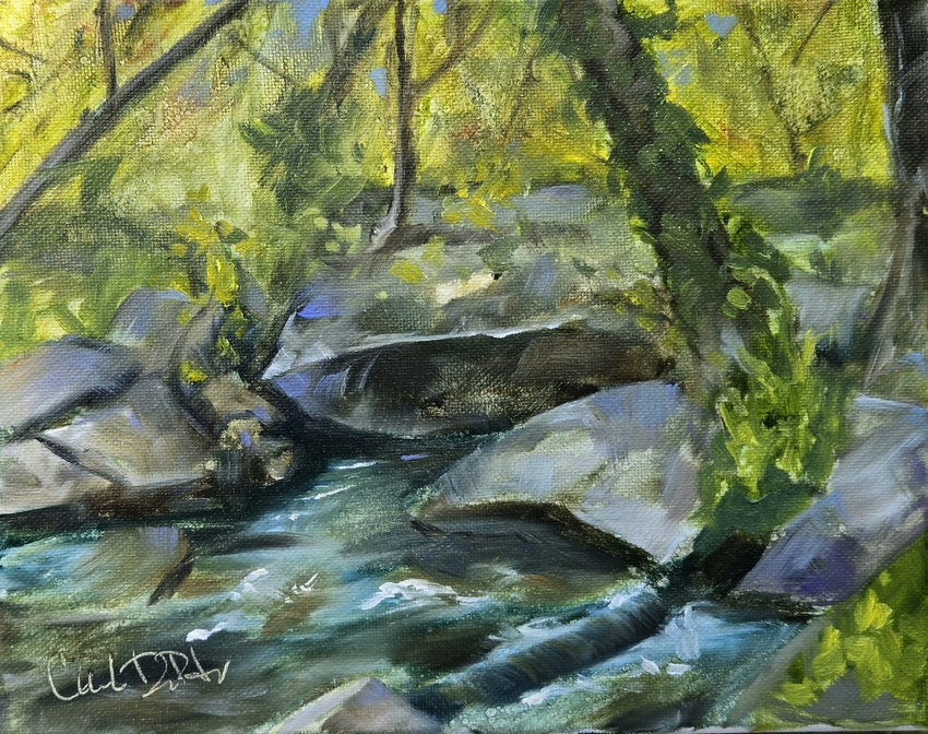 Flat Shoals Creek by Charlie DeRuiter