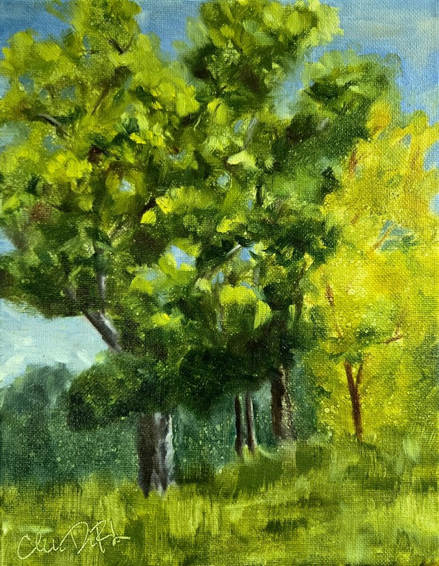 Morning Glow by Charlie DeRuiter