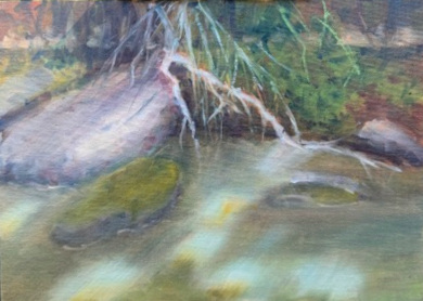 Sun Spots on the Water by Lynett Fink