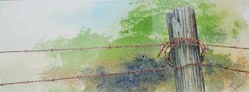 Plantation Fence Line by Charlie Warner Open081