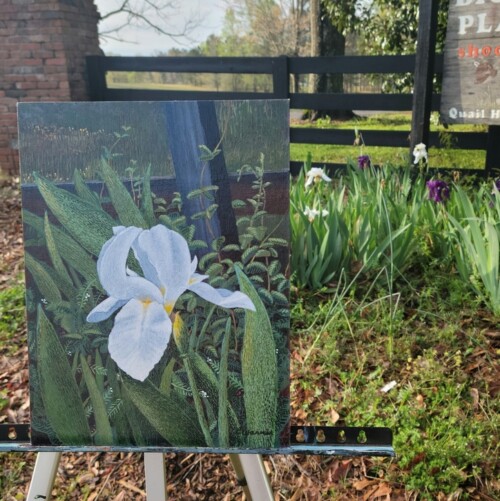 Big Red Oak White Iris by Charlie Warner 2
