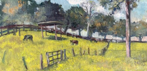 Bulls and Buttercups by Ed Cahill