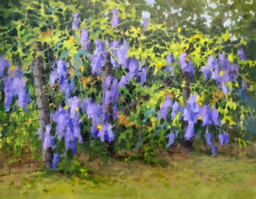 Fence Line Attractions by Steve Close