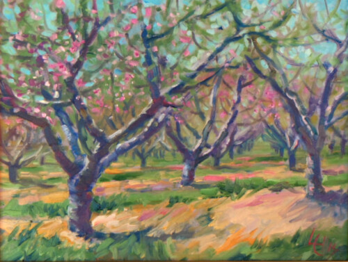Late Bloomers by Lydia Ellis