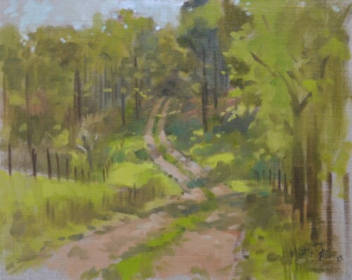 Millarden Farm Road by Martin Pate
