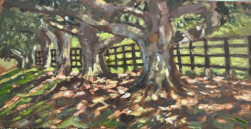 If Trees Could Talk by Lydia Ellis