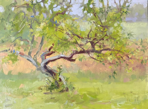 Plum by Mary O Smith