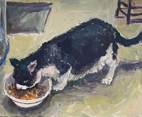 Quail the cat by Eleanor Stecker