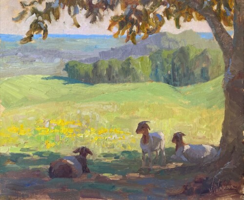 Siesta by Vicki Norman