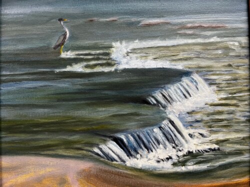 Heron on the rocks by Joel Gilmore