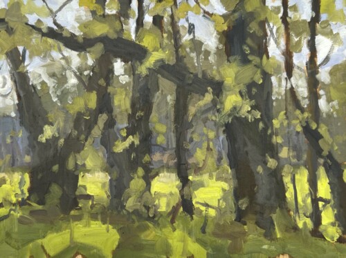 New Growth by David Boyd Jr