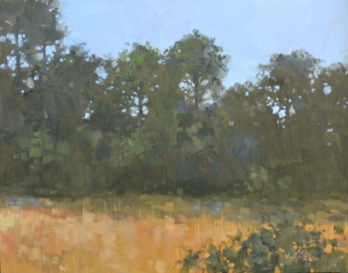 Roadside Pines by Martin Pate