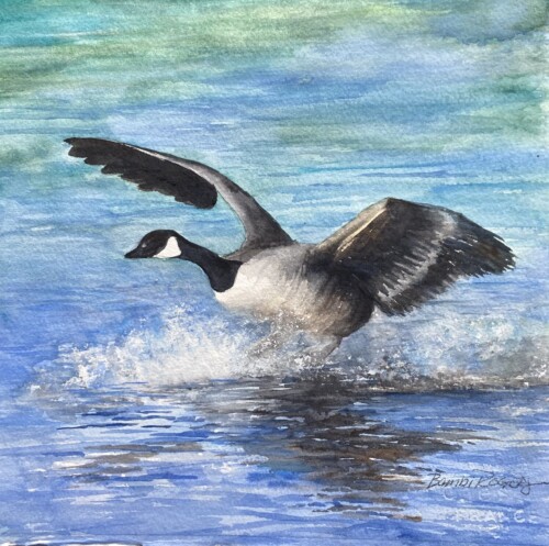 Splash by Bambi Rogers