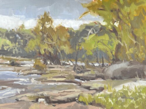 The Shoals by David Boyd Jr