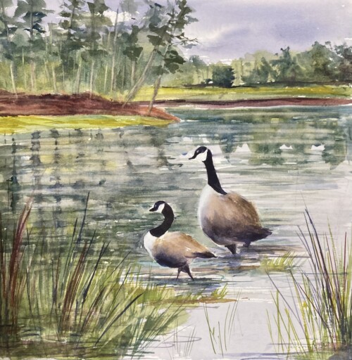 Two Geese Looking by Bambi Rogers