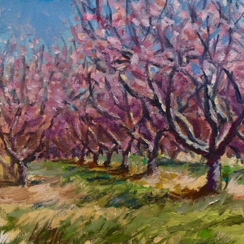 Up Close and Pink by Lydia Ellis