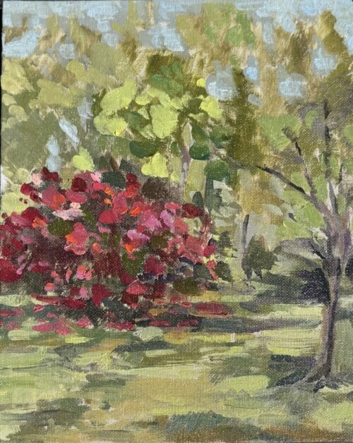 Azalea Colors with Light by Meagan Thomas
