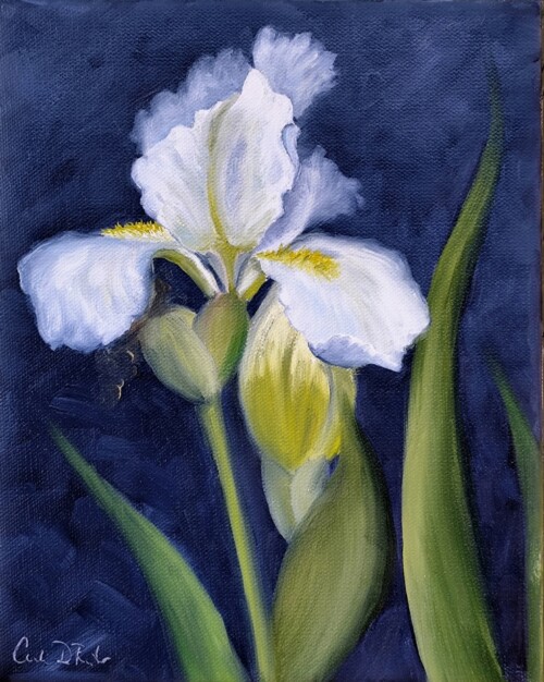 Iris Flower by Charlie DeRuiter