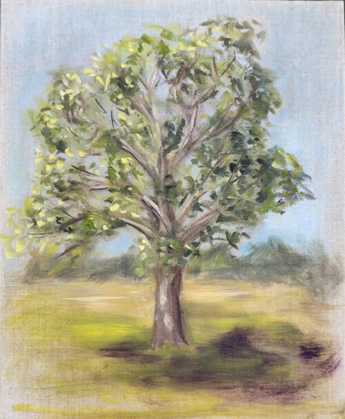 Large Oak by Charlie DeRuiter