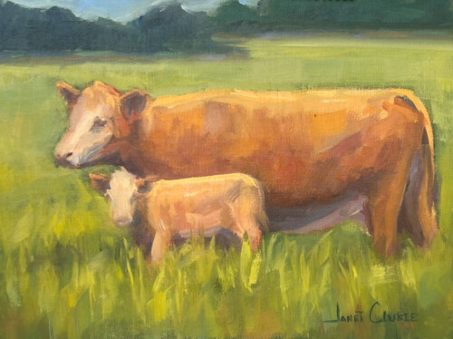 Momma Look by Janet Clukie