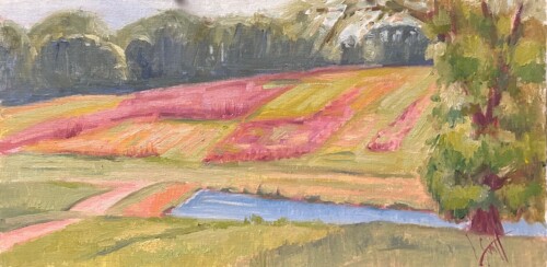 Sunny Patchwork by Lisa Swift