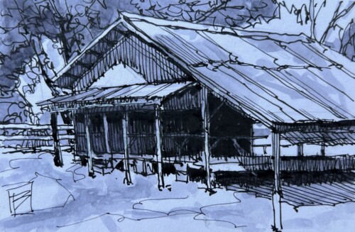 The Other Seed Shed by David Boyd